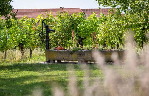 Gite des cigognes - Foto 30