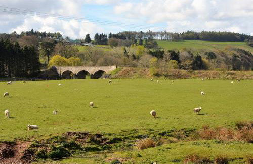 2 Bed in Duns 48811 - Photo 10