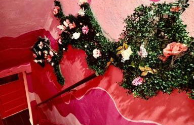 Pinksburgh pet-friendly by Strip, stadium, skyline - Foto 13