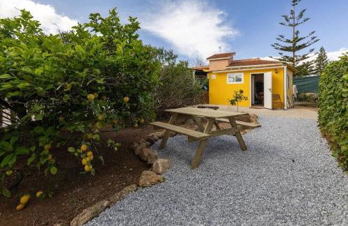 Tiny House Long-term remote work near Valencia - Foto 26