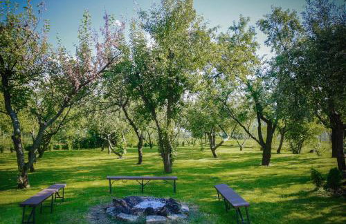 Villa Aviator - Foto 11