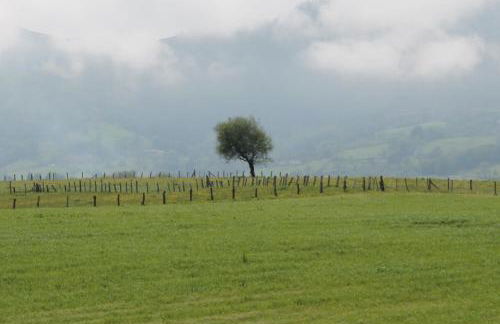 Casa de Aldea en el concejo de Nava, en el centro de Asturias - Foto 39