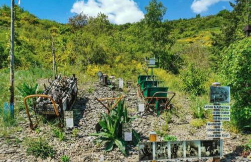 Ferienhaus Heimes - Foto 38