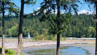 Beautiful Oceanview Retreat 2 Bedroom Home - Foto 5