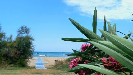 Giardino delle rose - Foto 3
