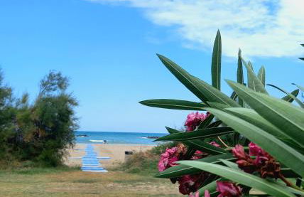 Giardino delle rose - Foto 3