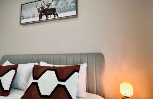 les colibris - Foto 12