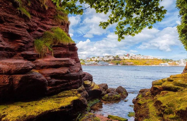 Lovely Stunning 2-bed Cottage in Torquay - Foto 27