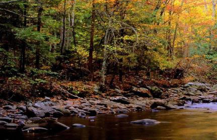 Lo Cantalés d’Aubrac - Photo 18
