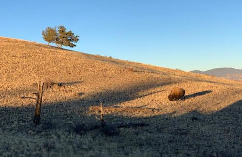 Buffalo Cabin - Foto 27