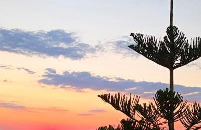 Evangelia House Sea View Apartments - Foto 35