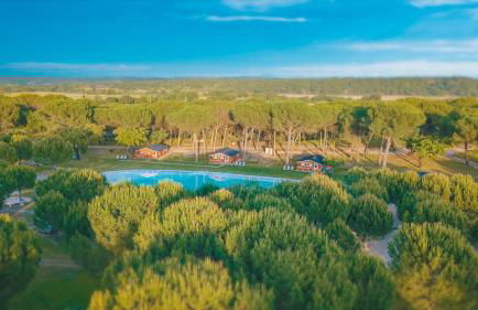 Chalet do Lago - Foto 5