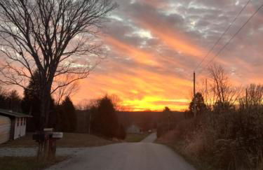 serenity cabins forest view - Photo 21