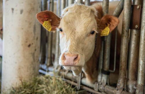 Willmüllerhof - Foto 10