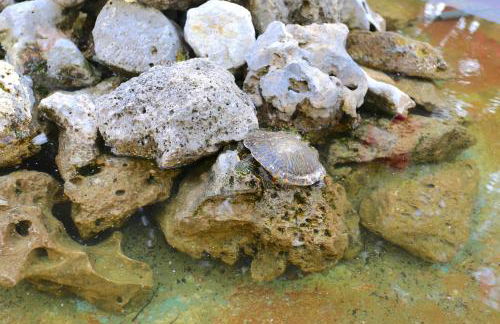 Hacienda Clavero Three Patio Apartment - Photo 25