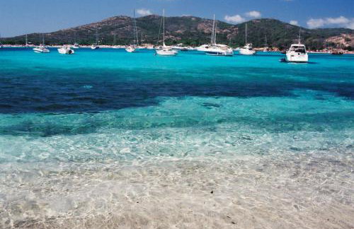 Résidence Les Terrasses de Rondinara - Foto 61