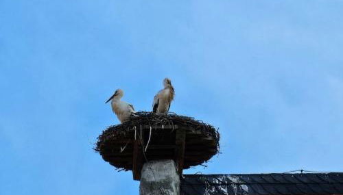 Casa Ciconia - Über den Dächern der Altstadt - Foto 5