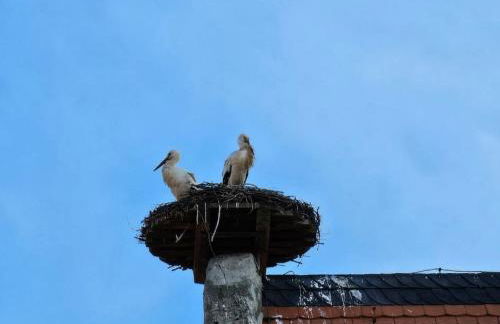 Casa Ciconia - Über den Dächern der Altstadt - Foto 5