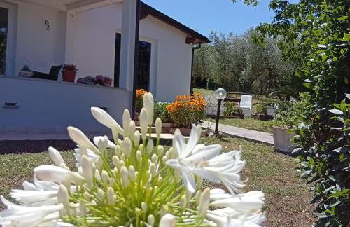 Agriturismo Santa Maria - Foto 3