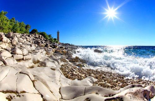 Apartment Ivan - Photo 25