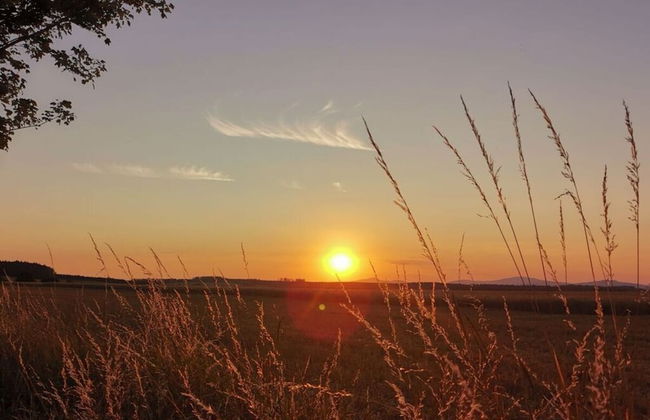 Martina Heydecke Comfortable Holiday Residence - Foto 4