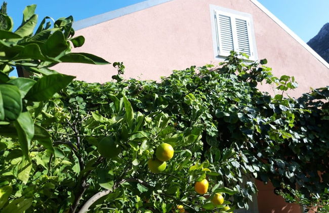 River-directly to the River - H - Photo 21