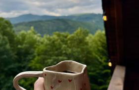 Willa Leśna - Foto 33