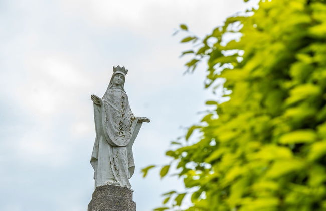 2 bedroom House in Gulpen with swimming pool and terrace - Photo 52