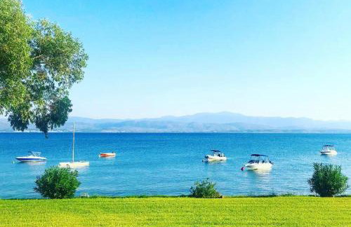 Architect designed house with pool and private beach - Photo 21