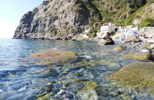 L' Agrumeto - Photo 59