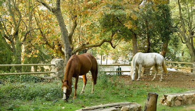 Hotel y Apartamento Sercotel Villa Engracia - Foto 2