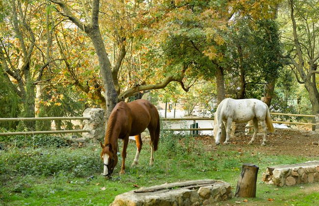 Hotel y Apartamento Sercotel Villa Engracia - Foto 2
