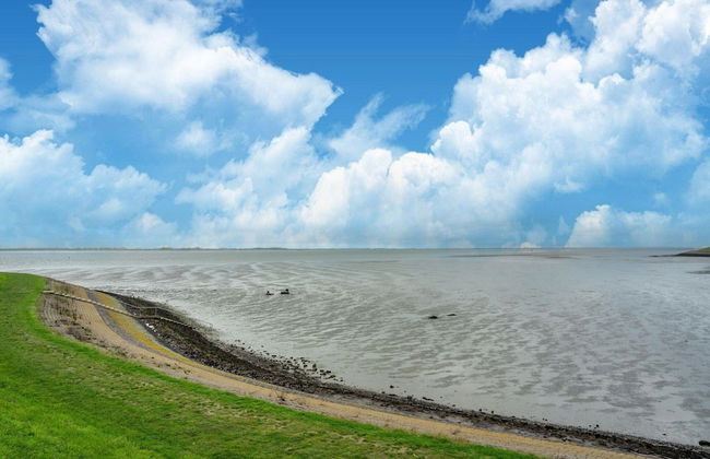 Holiday Home Near Scherpenisse Beach - Foto 46