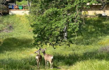 Modern Cabin, Near Snow Park, 3.5 Miles to SNP! - Foto 37