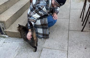 Ático Pequeño Paraíso Combarro - Photo 6