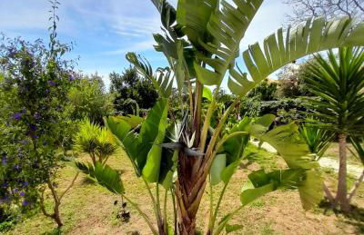 Casa Lantana - Foto 63