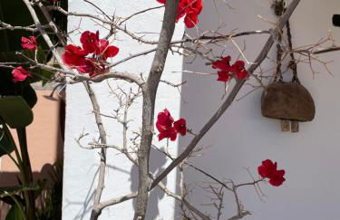 Mar de fondo en Pedregalejo - Photo 29