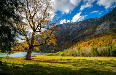 Ferienwohnungen Hollweger inkl. Chiemgaukarte - Foto 11