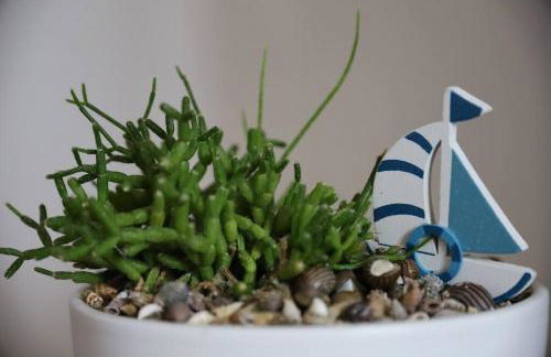 Casa al mare - Foto 20