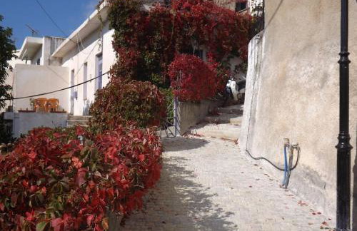 Villa Polirinia - Foto 32