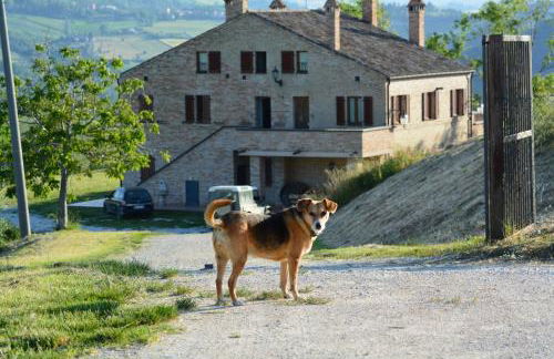 Casale Il Picchio Verde - Foto 11