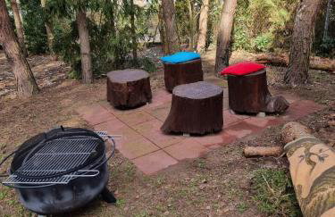 Boszkowski Azyl - Foto 9