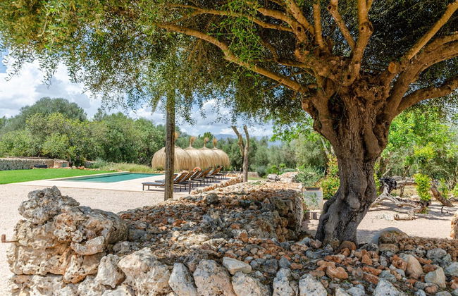 Pretty Farmhouse in Nature - Photo 21