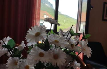 Apartamentos Casa Modesto - Foto 55