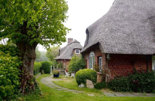 Reetdachkaten in Schuby, Ostsee - Foto 8