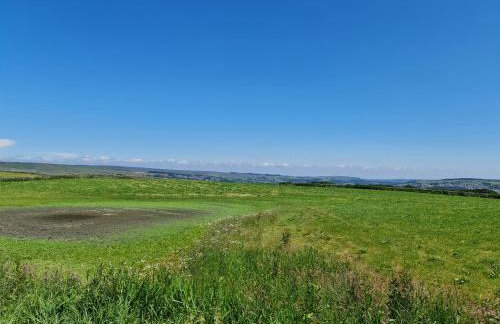 2 Bed Woodland Retreat - Garden & Free Parking - Photo 15