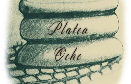 Platea Oche - Foto 2