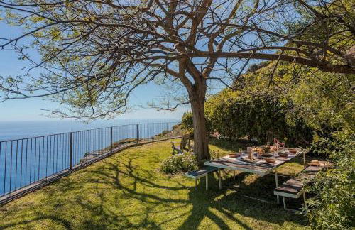 Botanica Living Magnolia Apt - Foto 9