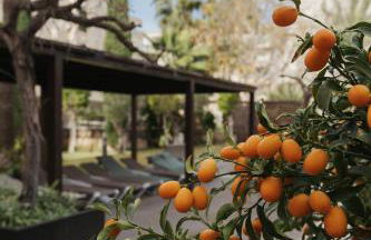 Beach Albir - Photo 32