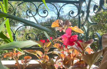 Le Soleil d’or - Foto 29